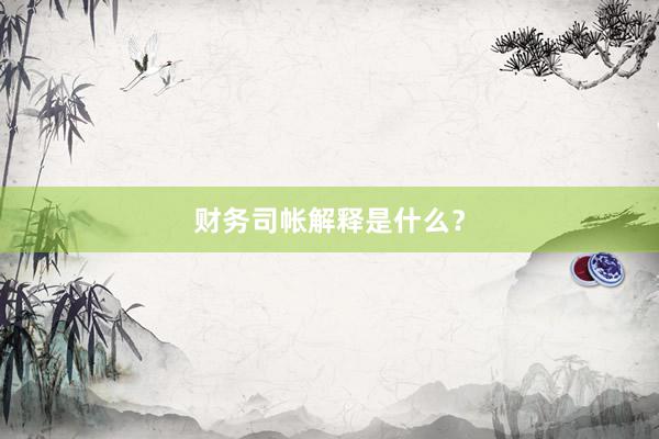 财务司帐解释是什么？