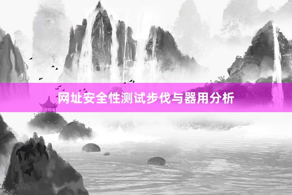 网址安全性测试步伐与器用分析