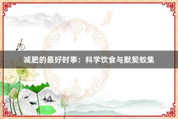 减肥的最好时事：科学饮食与默契蚁集