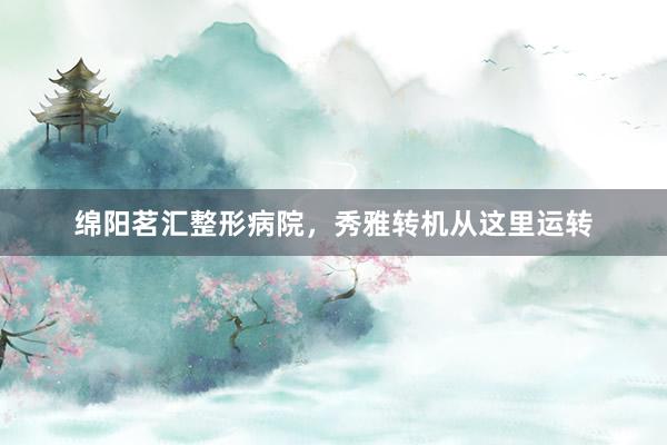 绵阳茗汇整形病院，秀雅转机从这里运转