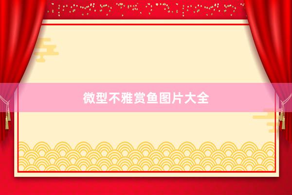 微型不雅赏鱼图片大全