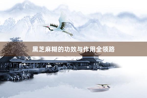 黑芝麻糊的功效与作用全领路