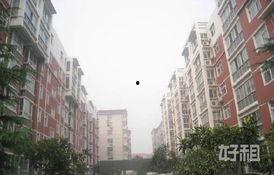 七九年家属院关不住金凤凰,金凤凰展翅高飞，谱写新时代传奇