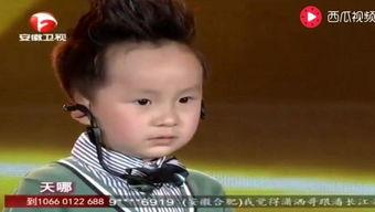 天才儿童 第一季,智慧火花，少年英才的璀璨舞台