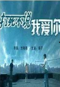 打死不说我爱你,揭秘隐藏在言语背后的深情