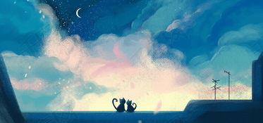 猫与月亮,猫与月亮的神秘邂逅