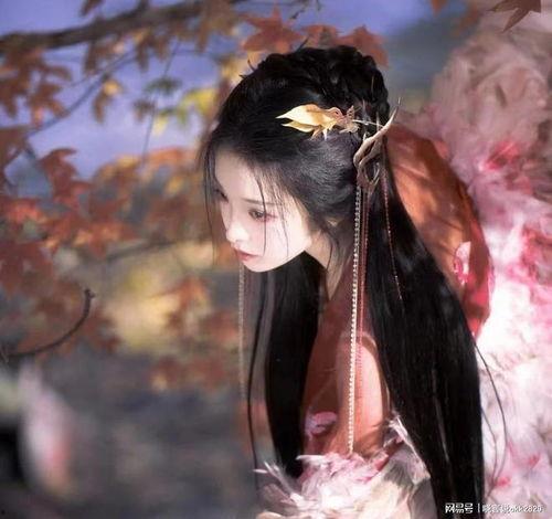 重逢于千帆尽头,重逢时光的彼岸