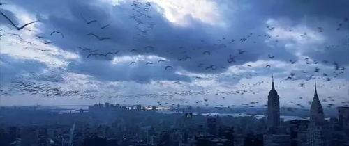 美丽的灾难,探寻自然奇观背后的危机