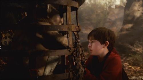 少年食人魔,荒野求生与人性挣扎的残酷寓言